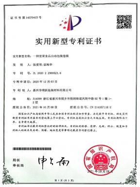Utility model patent